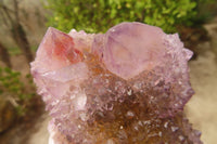 Natural Ametrine Spirit Quartz Clusters x 3 From Boekenhouthoek, South Africa