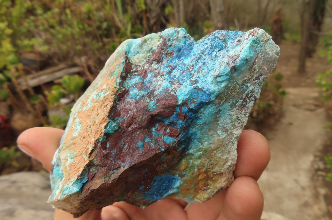 Natural Rough Shattuckite Cobbed Specimens x 6 From Kaokoveld, Namibia - Toprock Gemstones and Minerals 