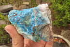 Natural Rough Shattuckite Cobbed Specimens x 6 From Kaokoveld, Namibia - Toprock Gemstones and Minerals 
