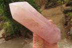 Polished Rose Quartz Double Terminated Points x 3 From Madagascar - Toprock Gemstones and Minerals 
