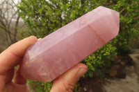 Polished Rose Quartz Double Terminated Points x 3 From Madagascar - Toprock Gemstones and Minerals 