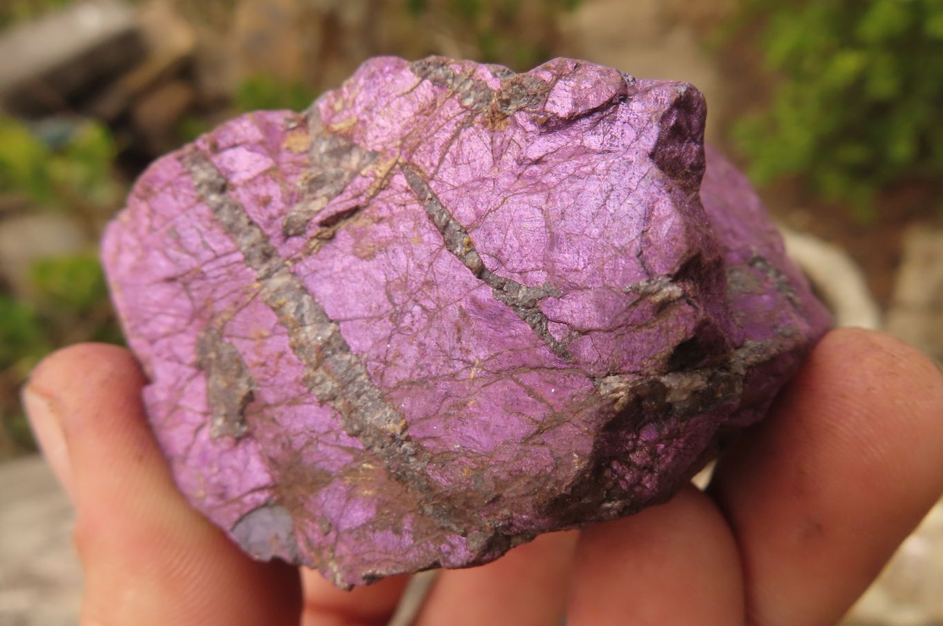 Natural Metallic Purpurite Cobbed Specimens x 12 From Erongo, Namibia - Toprock Gemstones and Minerals 