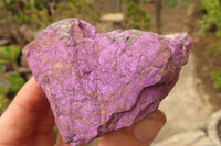 Natural Metallic Purpurite Cobbed Specimens x 12 From Erongo, Namibia - Toprock Gemstones and Minerals 