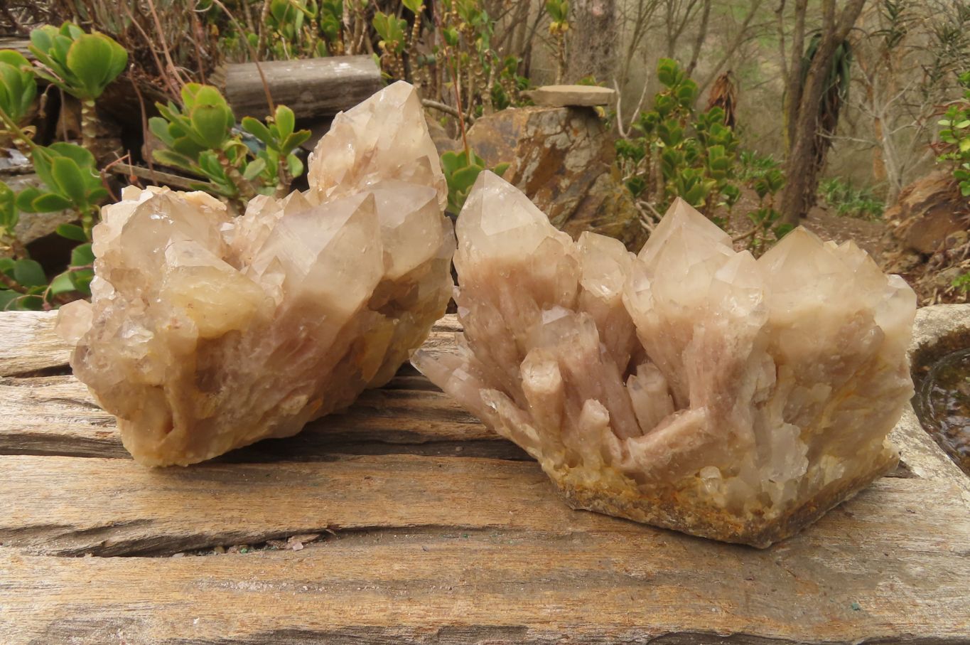 Natural Classic Cascading Smokey Phantom Quartz Clusters x 2 From Luena, Congo - Toprock Gemstones and Minerals 