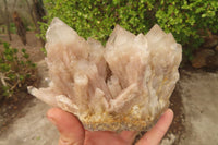 Natural Classic Cascading Smokey Phantom Quartz Clusters x 2 From Luena, Congo - Toprock Gemstones and Minerals 