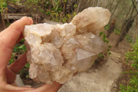 Natural Classic Cascading Smokey Phantom Quartz Clusters x 2 From Luena, Congo - Toprock Gemstones and Minerals 