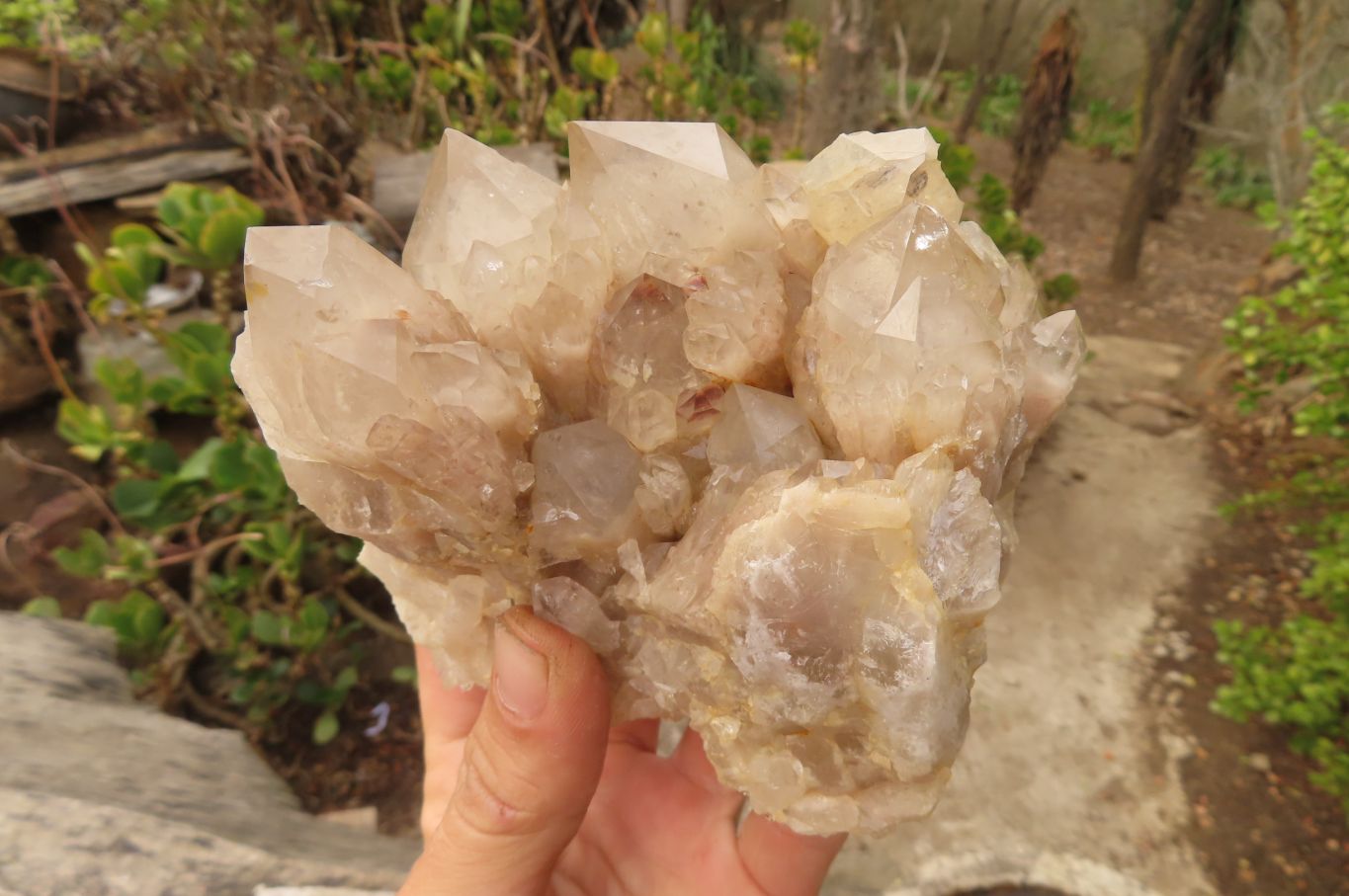 Natural Classic Cascading Smokey Phantom Quartz Clusters x 2 From Luena, Congo - Toprock Gemstones and Minerals 