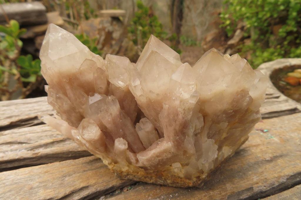 Natural Classic Cascading Smokey Phantom Quartz Clusters x 2 From Luena, Congo - Toprock Gemstones and Minerals 