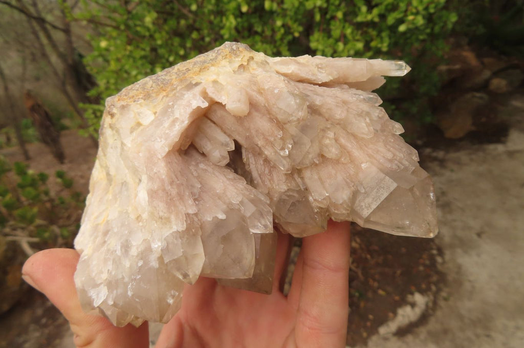 Natural Classic Cascading Smokey Phantom Quartz Clusters x 2 From Luena, Congo - Toprock Gemstones and Minerals 