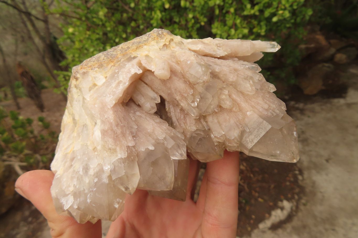 Natural Classic Cascading Smokey Phantom Quartz Clusters x 2 From Luena, Congo - Toprock Gemstones and Minerals 