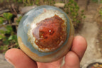 Polished Polychrome Jasper Spheres x 6 From Madagascar - Toprock Gemstones and Minerals 