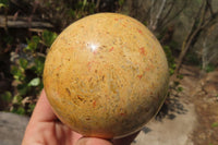Polished Runestone Feldspar Spheres x 3 From Zimbabwe - Toprock Gemstones and Minerals 