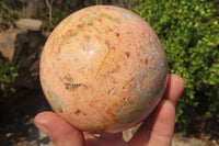 Polished Runestone Feldspar Spheres x 3 From Zimbabwe - Toprock Gemstones and Minerals 
