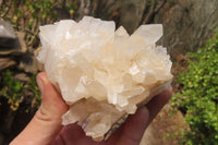 Natural Clear Quartz Clusters x 4 From Madagascar - Toprock Gemstones and Minerals 