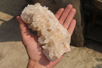 Natural Clear Quartz Clusters x 4 From Madagascar - Toprock Gemstones and Minerals 