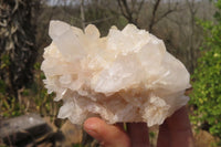 Natural Clear Quartz Clusters x 4 From Madagascar - Toprock Gemstones and Minerals 