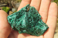 Natural Silky Malachite Specimens x 12 From Kasompe, Congo - Toprock Gemstones and Minerals 