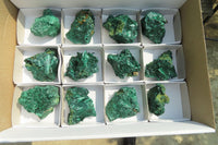 Natural Silky Malachite Specimens x 12 From Kasompe, Congo - Toprock Gemstones and Minerals 