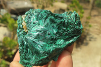 Natural Silky Malachite Specimens x 12 From Kasompe, Congo - Toprock Gemstones and Minerals 