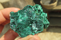 Natural Silky Malachite Specimens x 12 From Kasompe, Congo - Toprock Gemstones and Minerals 
