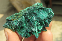 Natural Silky Malachite Specimens x 12 From Kasompe, Congo - Toprock Gemstones and Minerals 