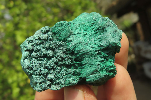 Natural Silky Malachite Specimens x 12 From Kasompe, Congo - Toprock Gemstones and Minerals 