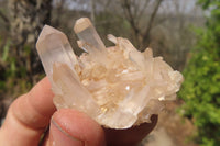 Natural Clear Quartz Clusters x 35 From Madagascar - Toprock Gemstones and Minerals 