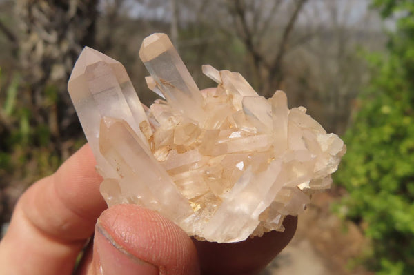 Natural Clear Quartz Clusters x 35 From Madagascar - Toprock Gemstones and Minerals 
