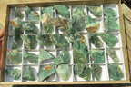 Natural Jade Cobbed Specimens x 35 From Swaziland - Toprock Gemstones and Minerals 