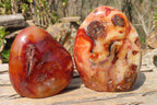 Polished Carnelian Standing Free Forms x 2 From Madagascar - Toprock Gemstones and Minerals 