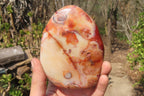 Polished Carnelian Standing Free Forms x 2 From Madagascar - Toprock Gemstones and Minerals 