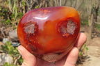 Polished Carnelian Standing Free Forms x 2 From Madagascar - Toprock Gemstones and Minerals 