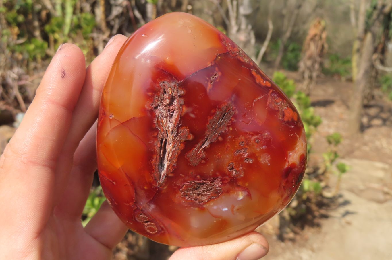 Polished Carnelian Standing Free Forms x 2 From Madagascar - Toprock Gemstones and Minerals 