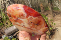 Polished Carnelian Standing Free Forms x 2 From Madagascar - Toprock Gemstones and Minerals 