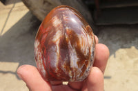 Polished Red Podocarpus Petrified Wood Standing Free Forms x 6 From Madagascar - Toprock Gemstones and Minerals 
