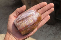 Polished Red Podocarpus Petrified Wood Standing Free Forms x 6 From Madagascar - Toprock Gemstones and Minerals 