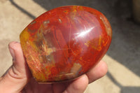 Polished Red Podocarpus Petrified Wood Standing Free Forms x 6 From Madagascar - Toprock Gemstones and Minerals 