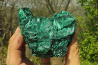 Natural Silky Malachite Specimens x 3 From Kasompe, Congo - Toprock Gemstones and Minerals 