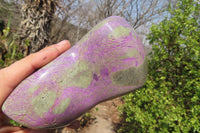 Polished Stichtite Standing Free Form x 1 From Barberton, South Africa - Toprock Gemstones and Minerals 