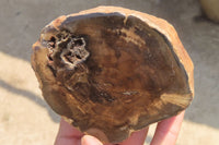 Polished Petrified Wood Branch Pieces x 4 From Gokwe, Zimbabwe - Toprock Gemstones and Minerals 