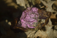 Natural Metallic Purpurite Cobbed Specimens x 5 From Erongo, Namibia - Toprock Gemstones and Minerals 