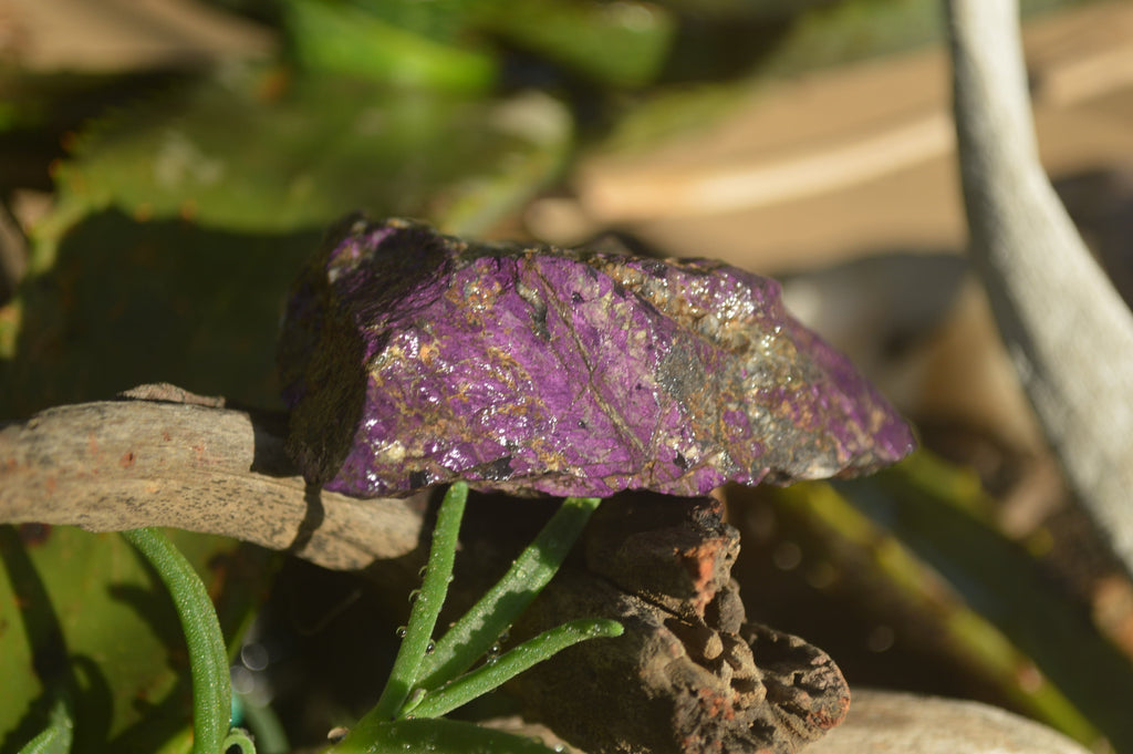 Natural Metallic Purpurite Cobbed Specimens x 5 From Erongo, Namibia - Toprock Gemstones and Minerals 