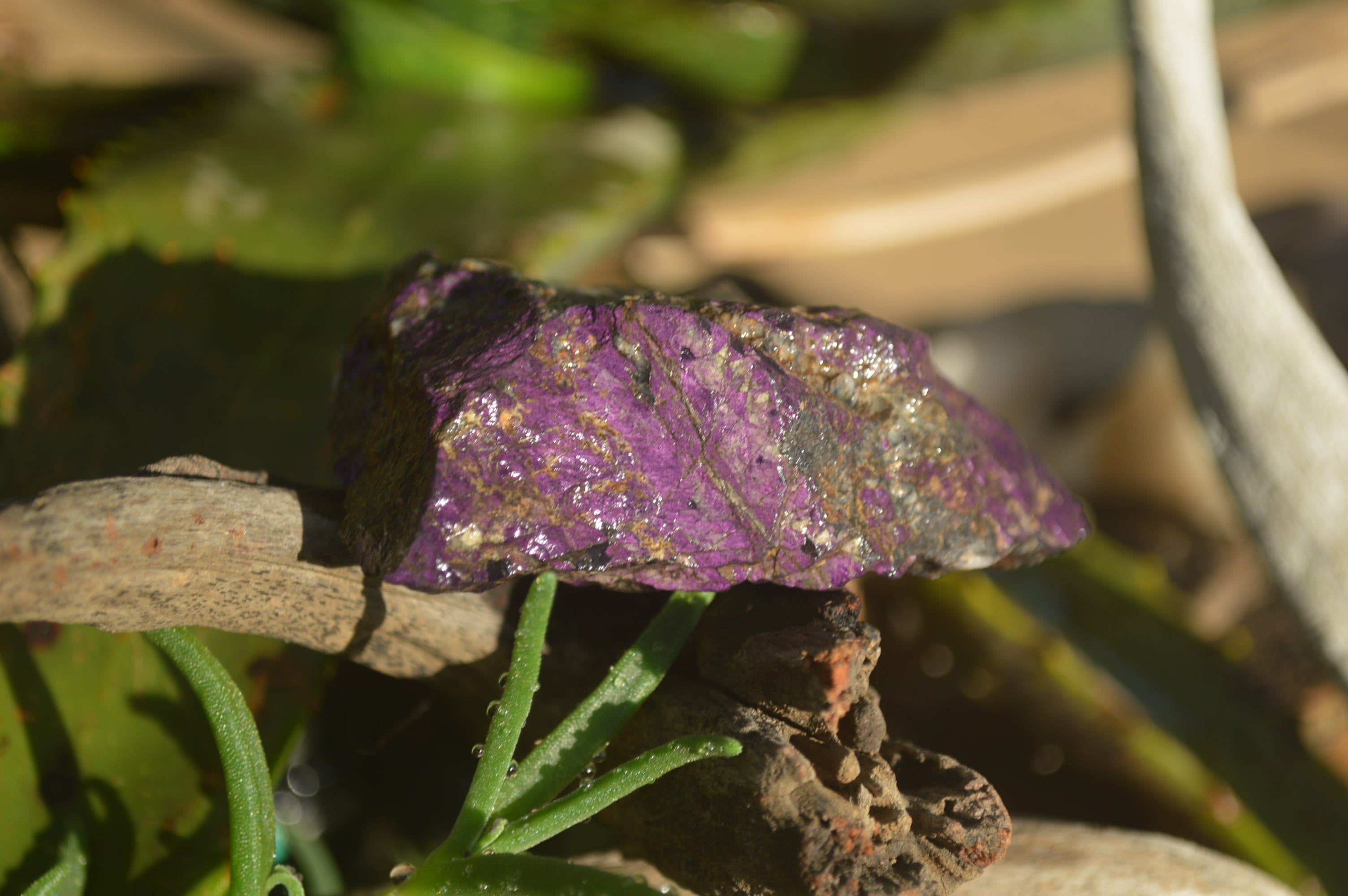 Natural Metallic Purpurite Cobbed Specimens x 5 From Erongo, Namibia - Toprock Gemstones and Minerals 