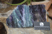 Polished Watermelon Fluorite Slices x 3 From Uis, Namibia - Toprock Gemstones and Minerals 