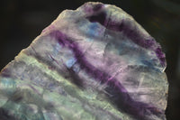 Polished Watermelon Fluorite Slices x 3 From Uis, Namibia - Toprock Gemstones and Minerals 