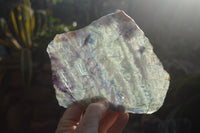 Polished Watermelon Fluorite Slices x 3 From Uis, Namibia - Toprock Gemstones and Minerals 