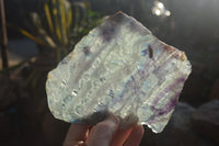 Polished Watermelon Fluorite Slices x 3 From Uis, Namibia - Toprock Gemstones and Minerals 