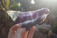Polished Watermelon Fluorite Slices x 3 From Uis, Namibia - Toprock Gemstones and Minerals 