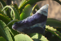 Polished Watermelon Fluorite Slices x 3 From Uis, Namibia - Toprock Gemstones and Minerals 
