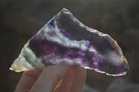Polished Watermelon Fluorite Slices x 3 From Uis, Namibia - Toprock Gemstones and Minerals 
